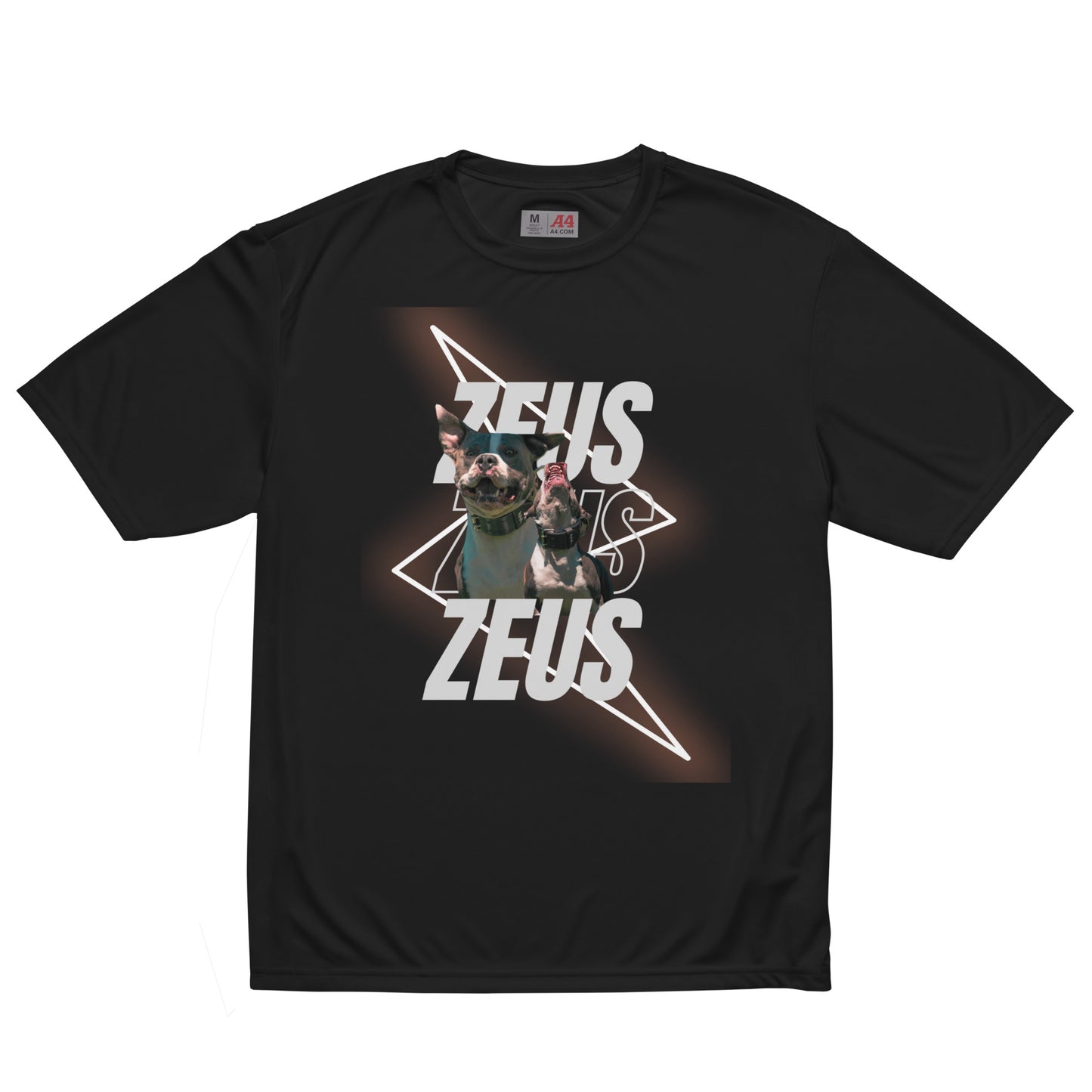 Unisex Zeus Graphic crew neck t-shirt