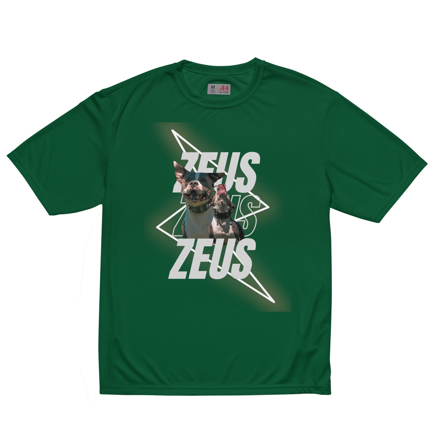 Unisex Zeus Graphic crew neck t-shirt