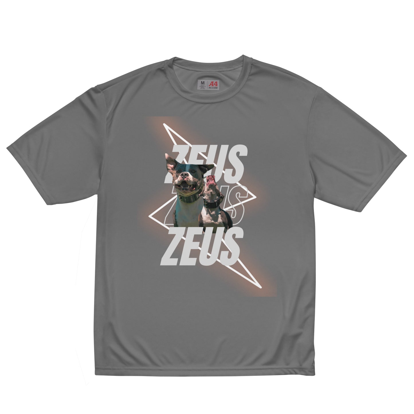 Unisex Zeus Graphic crew neck t-shirt