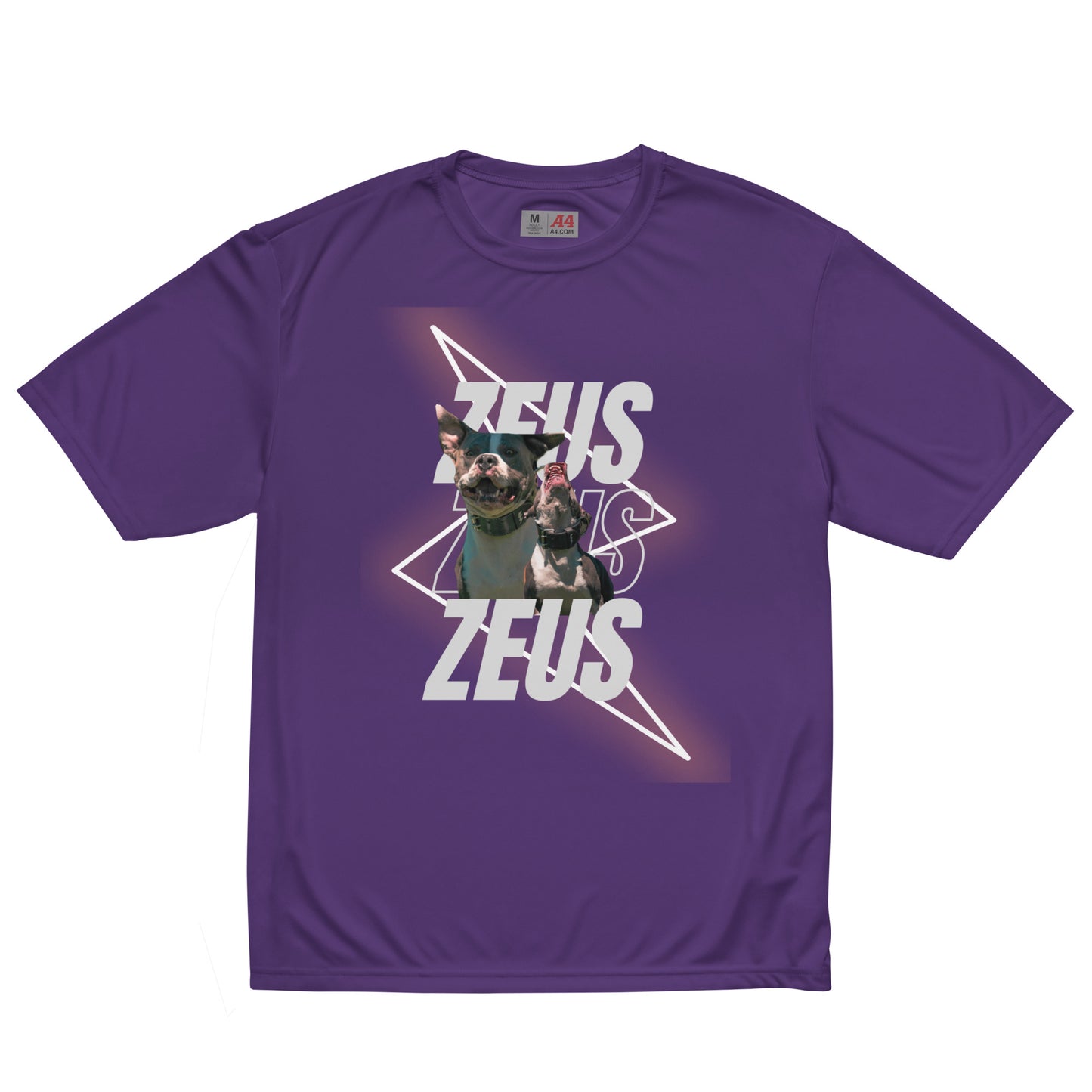 Unisex Zeus Graphic crew neck t-shirt