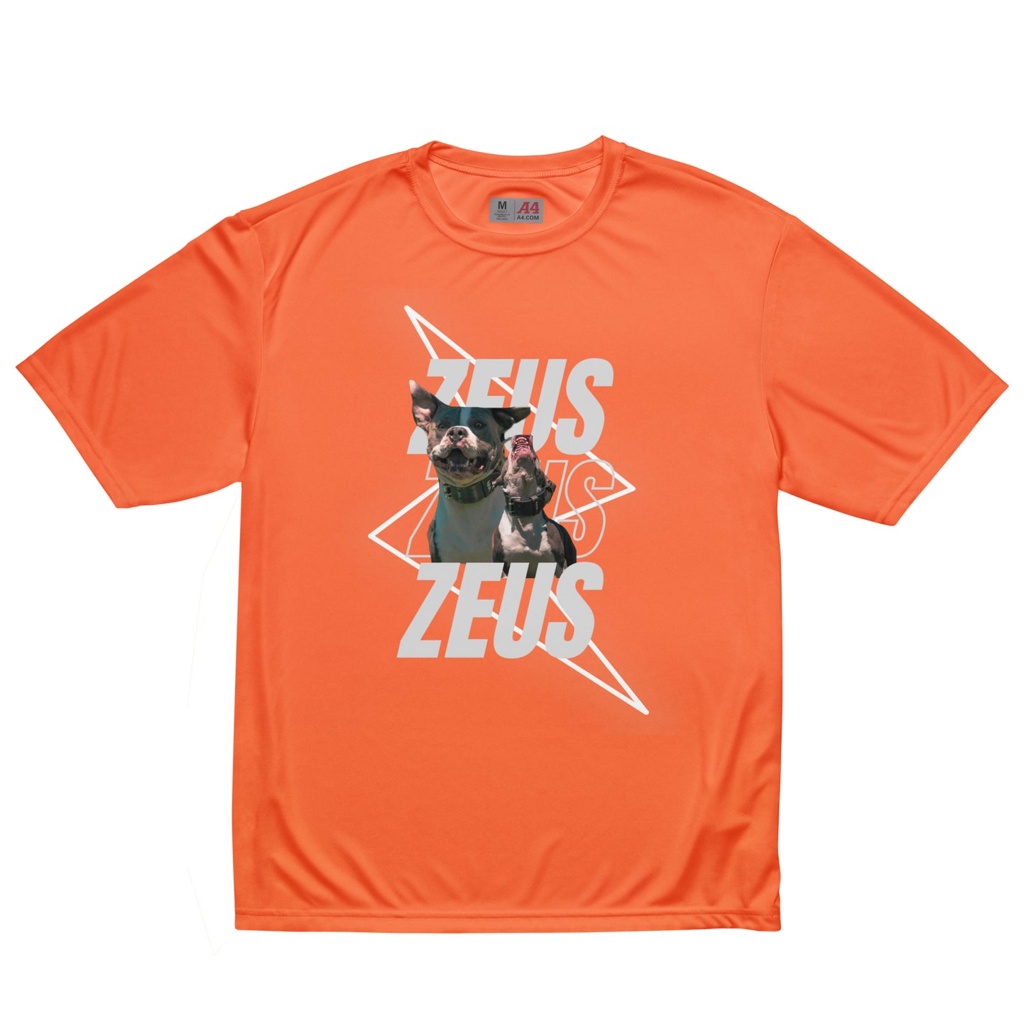 Unisex Zeus Graphic crew neck t-shirt