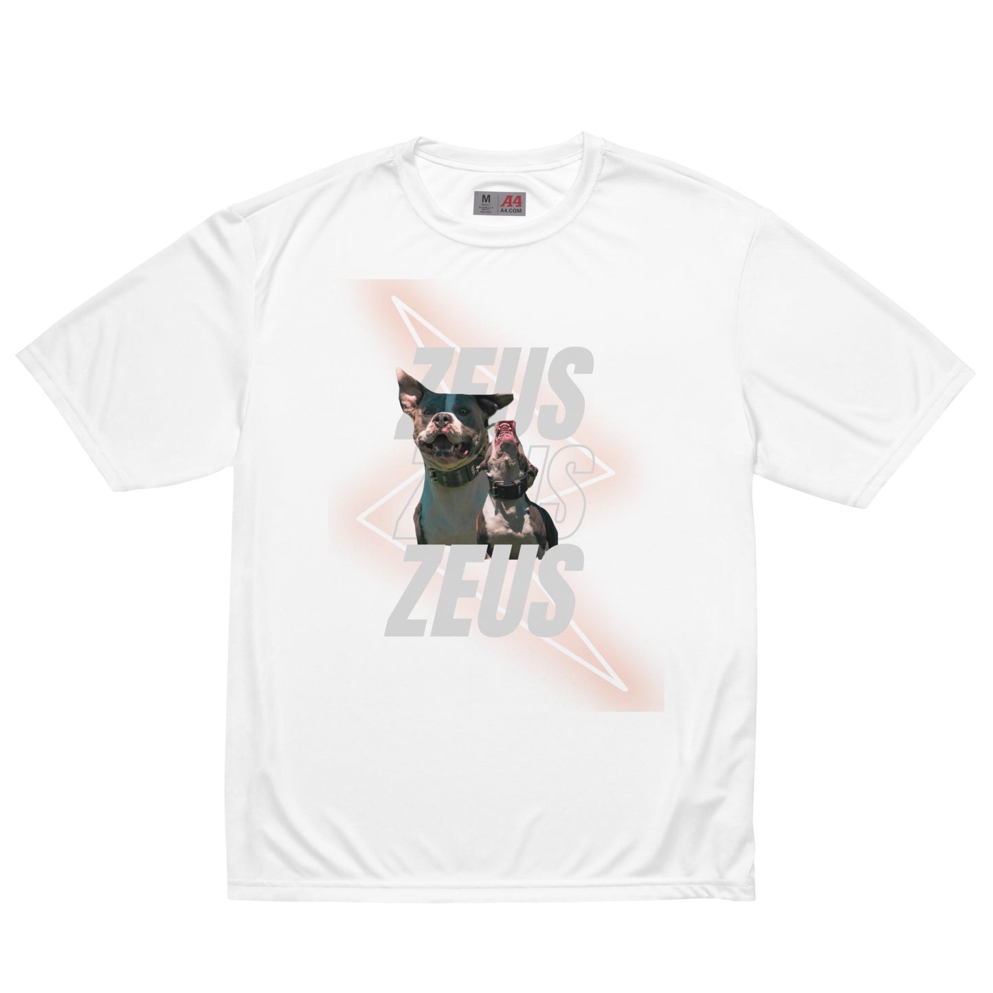 Unisex Zeus Graphic crew neck t-shirt