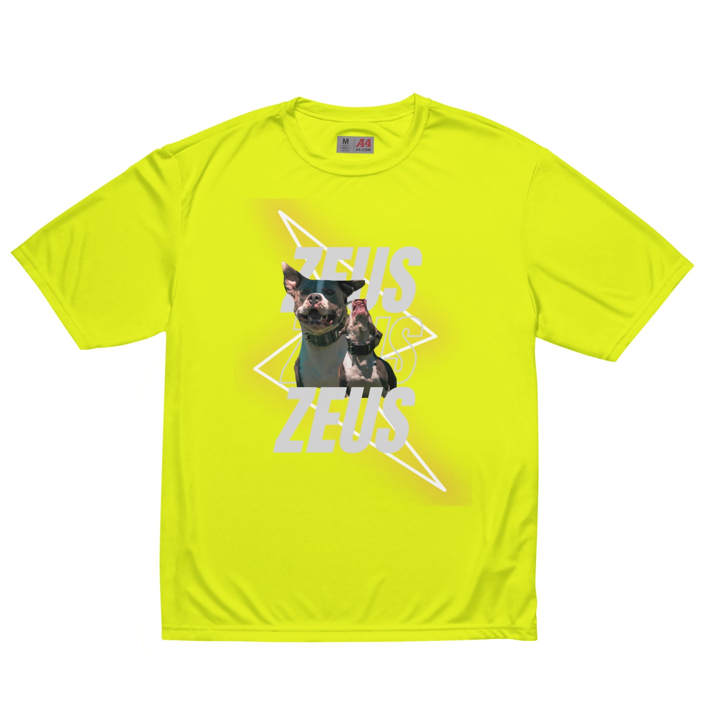 Unisex Zeus Graphic crew neck t-shirt